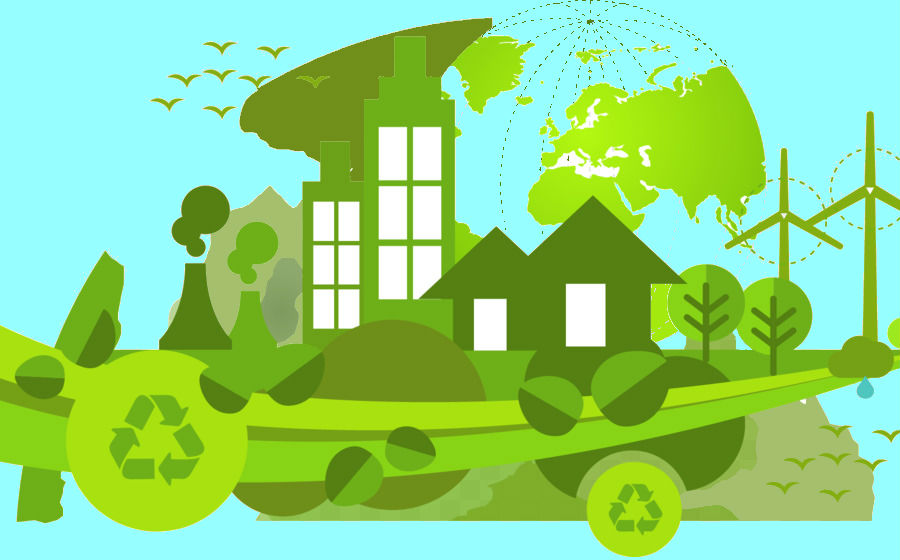 12 мая День экологического образования